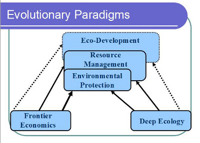 perspectives on the environment