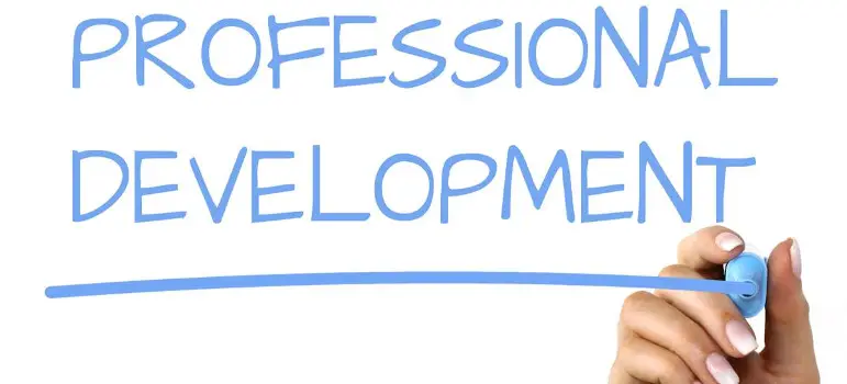 professionaldevelopment