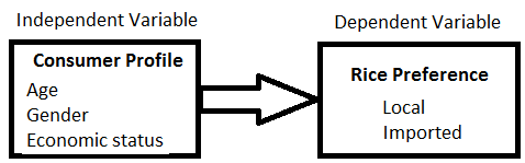 consumer behavior analysis