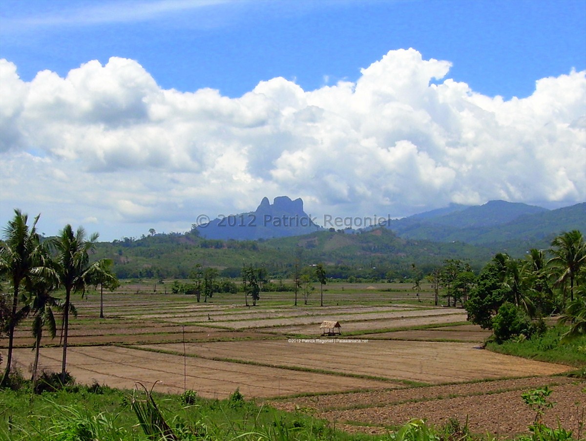 agroecosystem