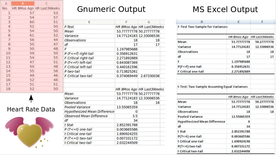 Excel and Gnumeric output