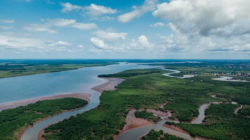 estuarine ecosystems