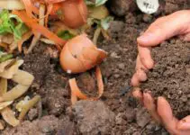 Effective Natural Fertilizer: 5 Easy Tips