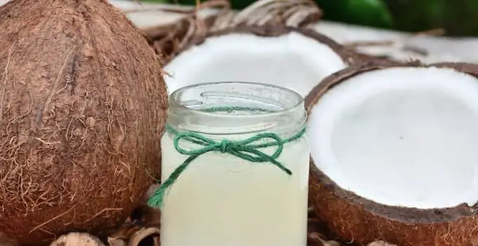Coconut Benefits: 38 Medical and Non-Medical Uses