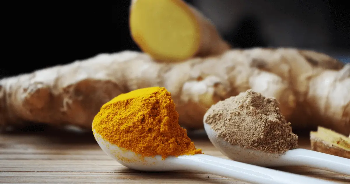 Turmeric Benefits: 5 Healing Properties for Better Health 2 turmeric health benefits