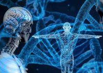 What is Research and Development?