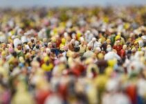 Malthusians vs Cornucopians: A Contemporary Perspective on Population Growth
