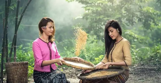 Consumer Behavior Analysis on Locally Produced Rice: A Suggested Conceptual Framework