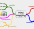How to Use a Mind Map for Research and Personal Goals (With Examples)