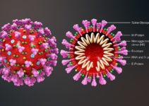 CoViD-19: A Malthusian Prediction to Limit Population Growth?