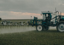 Why C14H9Cl5 Spraying Can Impact Crop Production: Death of Pollinators