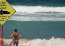 Decision-Making: Five Important Steps to Achieve Desired Outcomes