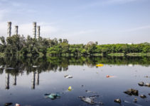 Free Rider Problem: Five Economic Outputs and Their Environmental Costs