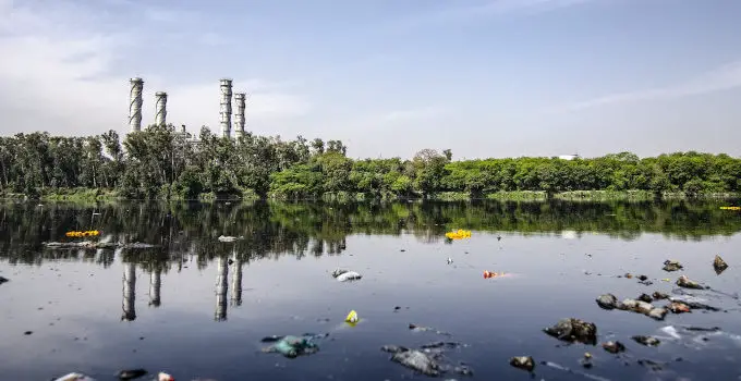 Free Rider Problem: Five Economic Outputs and Their Environmental Costs