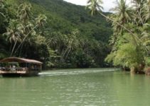 Bohol: Home of the 8th Wonder of the World