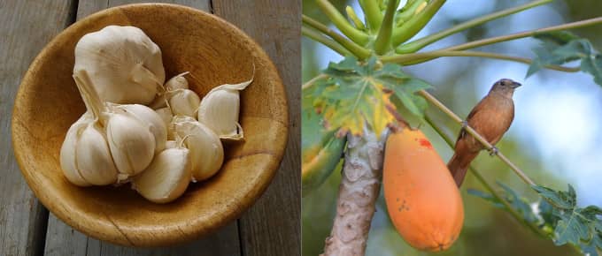 4 Amazing Home Remedies for Kidney Stones 1 homeremediesforkidneystones