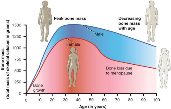 Why Do People Age Quickly? 8 Ways on How to Stay Young, Live Longer and Healthy the Natural Way 1 whydopeopleage