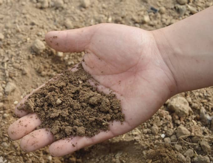 naturalfertilizer
