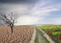 How to Help Stop Climate Change: 16 Eco-Friendly Tips