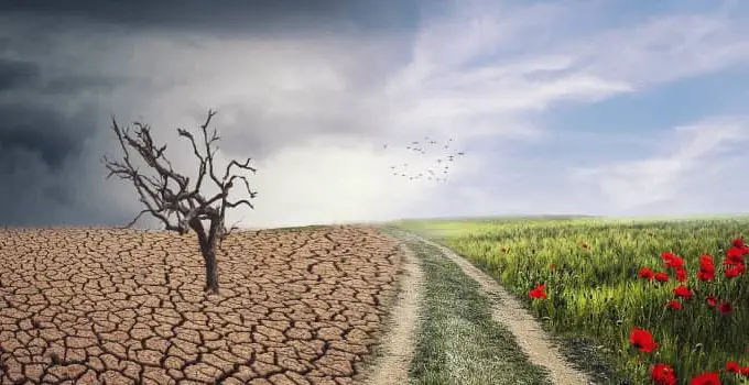 How to Help Stop Climate Change: 16 Eco-Friendly Tips