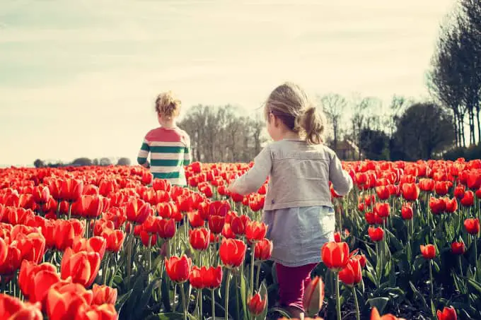 Gardening and Mental Health: 5 Helpful Benefits 1 gardeningandmentalhealth