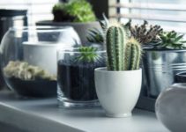 Gardening and Mental Health: 5 Helpful Benefits
