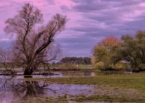 Indigenous People’s Adaptation to Climate Change: 2 Resourceful Responses
