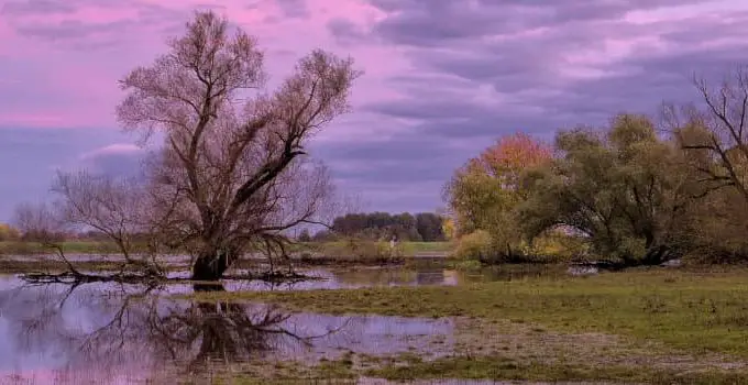 Indigenous People’s Adaptation to Climate Change: 2 Resourceful Responses