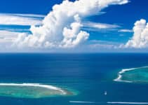 Coral Bleaching Due to Climate Change: 2 Alarming Outcomes