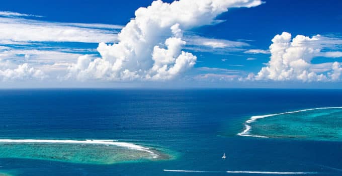 Coral Bleaching Due to Climate Change: 2 Alarming Outcomes
