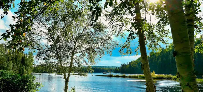 ecosystemservices