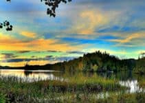 Natural Resources Conservation: 2 Creative Ways to Sustain