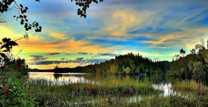 Natural Resources Conservation: 2 Creative Ways to Sustain