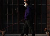 5 Post COVID-19 Pandemic Effects on Society
