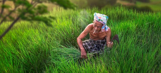 Indigenous People's Adaptation to Climate Change: 2 Resourceful Responses 1 climatechangeadaptation