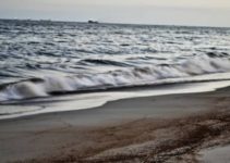4 Disturbing Oil Spill Effects on Humans and the Environment