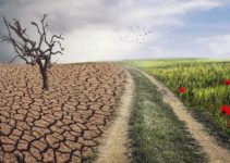 Face Off the Climate Crisis: 20 Ways