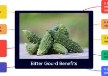 9 Bitter Gourd Benefits: Nutrition, Health Uses,  and Side Effects