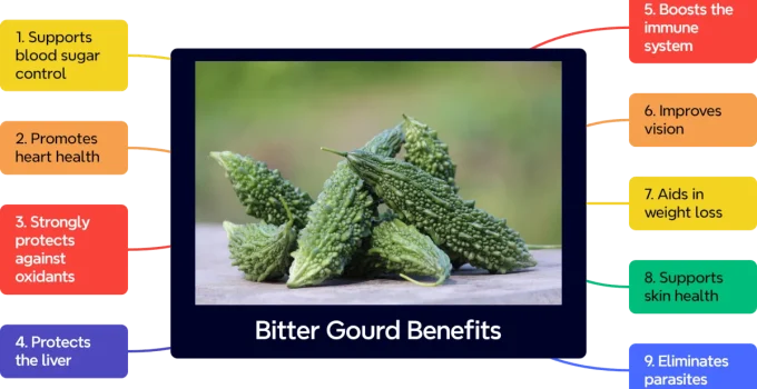 9 Bitter Gourd Benefits: Nutrition, Health Uses,  and Side Effects