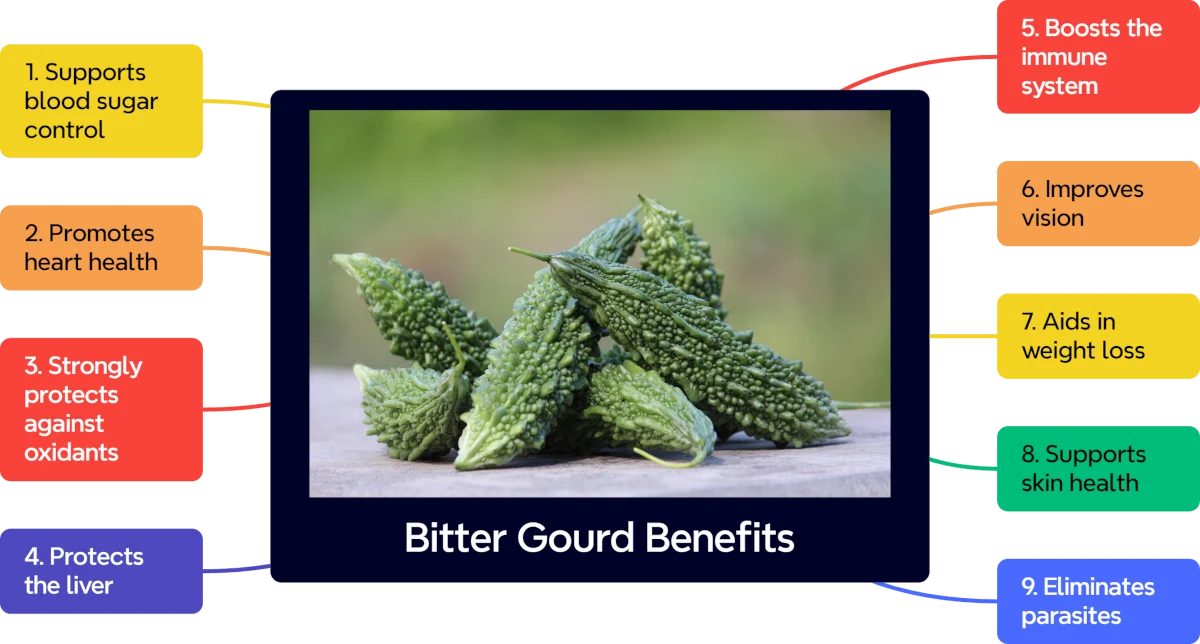 9 Bitter Gourd Benefits: Nutrition, Health Uses, and Side Effects 1 bitter gourd benefits