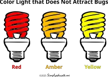 What Color Light Does Not Attract Bugs? Three Best Ones