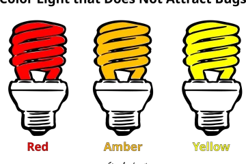 What Color Light Does Not Attract Bugs? Three Best Ones What Color Light Does Not Attract Bugs? Three Best Ones