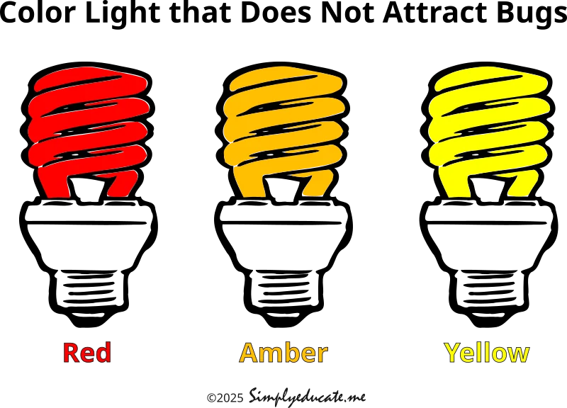 what color light that does not attract bugs