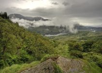 How Does Deforestation Contribute to Climate Change? 4 Major Causes and Impacts