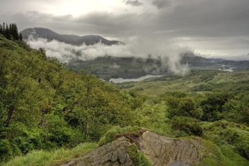 How Does Deforestation Contribute to Climate Change? 4 Major Causes and Impacts How Does Deforestation Contribute to Climate Change? 4 Major Causes and Impacts