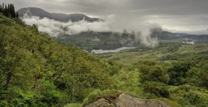 How Does Deforestation Contribute to Climate Change? 4 Major Causes and Impacts