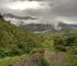 How Does Deforestation Contribute to Climate Change? 4 Major Causes and Impacts