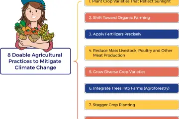 8 Sustainable Farming Practices to Mitigate Climate Change Impacts
