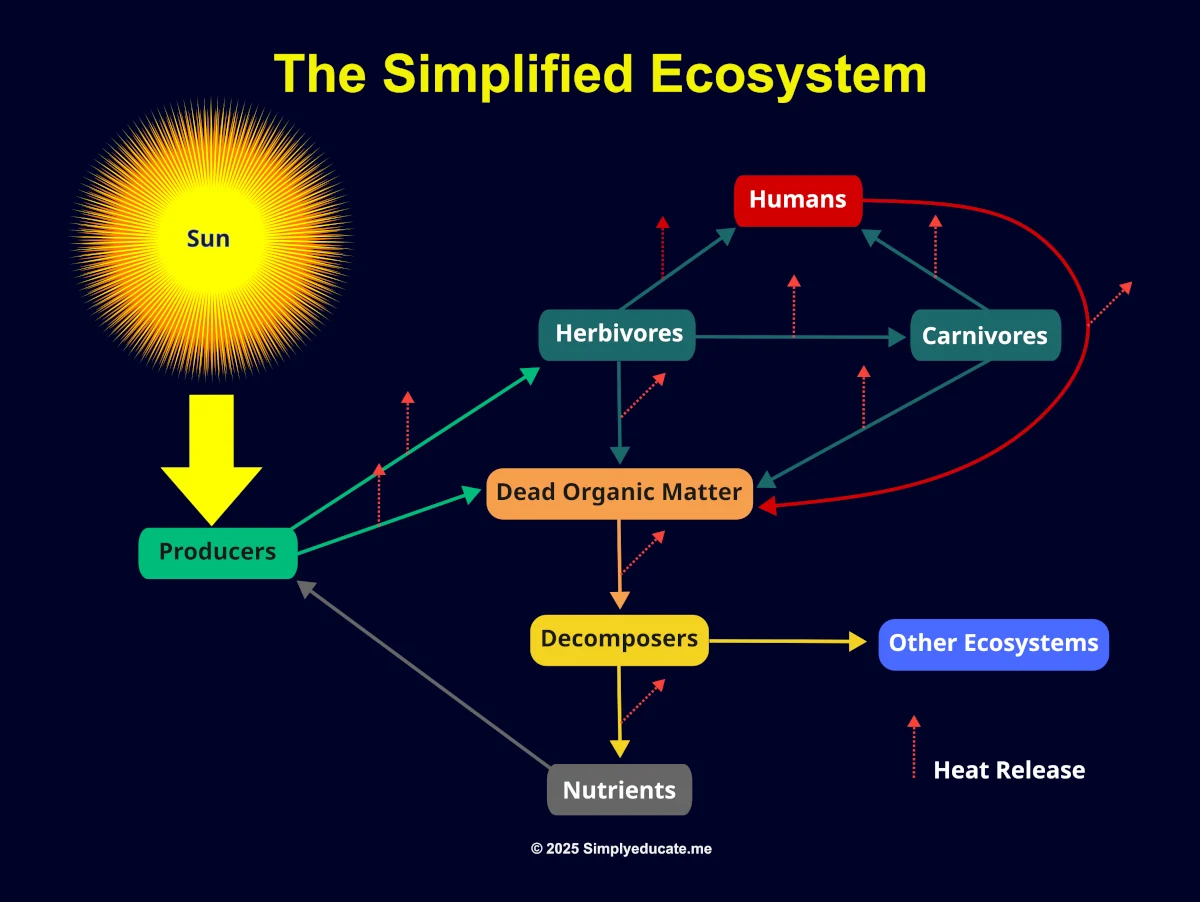what is an ecosystem
