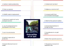 Externalities of Oil Spill: 10 Positive and 10 Negative Effects